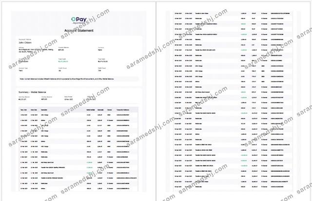 Nigeria Opay account statement Word and PDF template, 2 pages